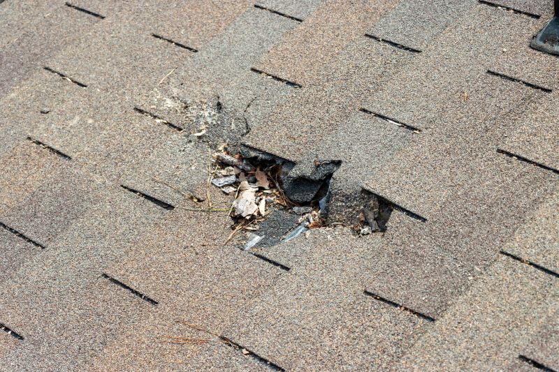 Damaged Roof Replacement in White County, GA