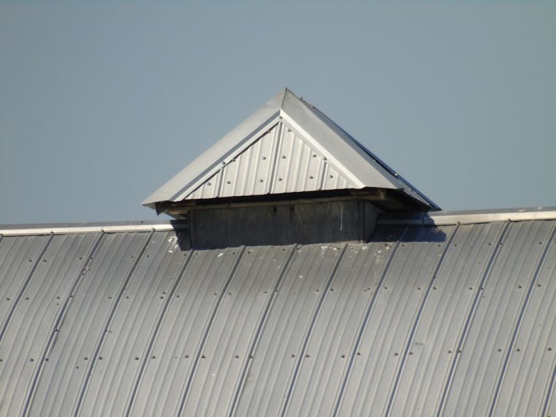 Tin Roof Installation in Auburn, GA