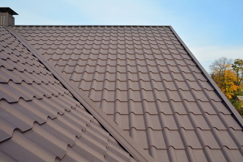 Tin Roof Installation in Jackson County, GA