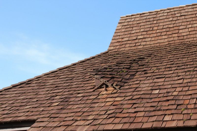 Wood Shake Roof Replacement in Demorest, GA
