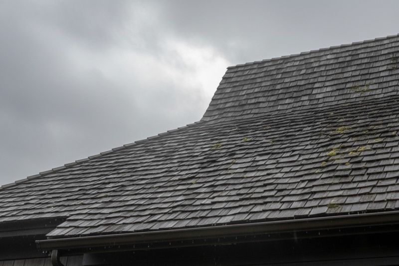 Wood Shake Roof Replacement in Suwanee, GA